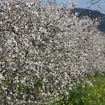 005 Finca Can Cortana 1782-2016Et By Mallorca Charme