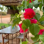 Finca Can Sitja