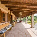 Ideal Property Mallorca - Ses Comes
