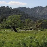 Traditional Majorcan Villa By Renthousing