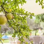 Es Garrover - Villa With Private Pool In Cala Millor Free Wifi