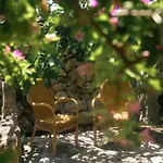 Finca Sa Cova Vella