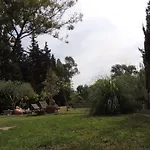 Villa In Nature With Yoga Room, Peace And Tranquility