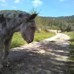Son Burguet