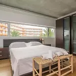 Modern Apartment With Balcony