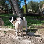 Es Mirador