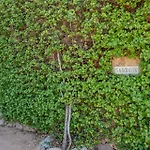 Finca Aigo By Mhr