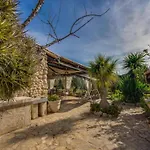 Lush Finca In Buger