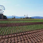 Finca Can Capelli