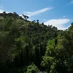 Can Corios