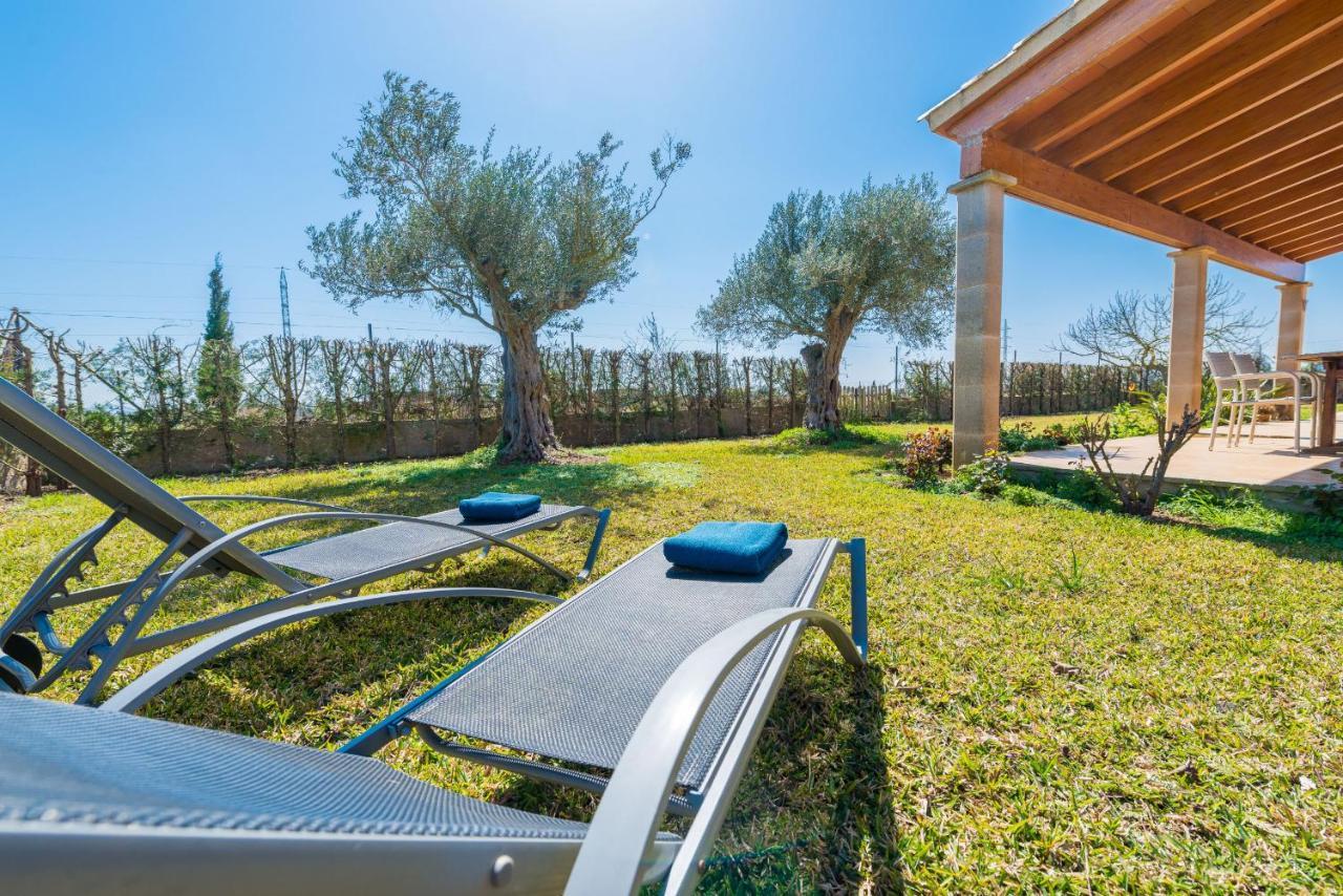 컨트리하우스 Yourhouse Son Gallina Quiet, Private In The North Of Mallorca