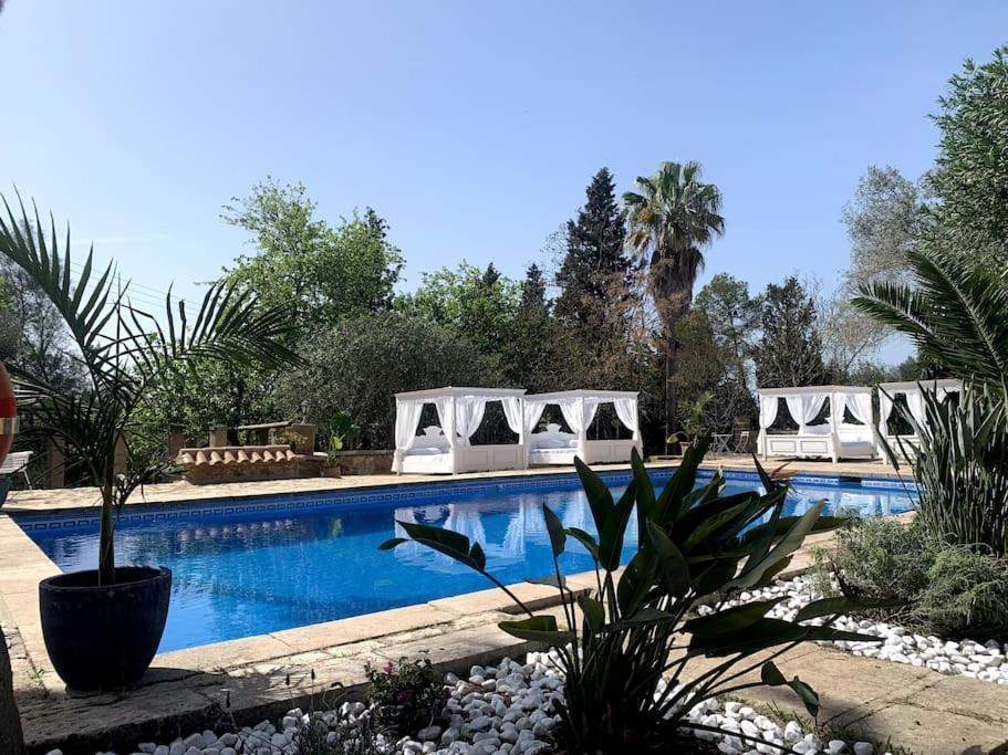 Apartment Mateo, Erholung Pur In Stilvollem,modernenambiente Manacor (Mallorca)