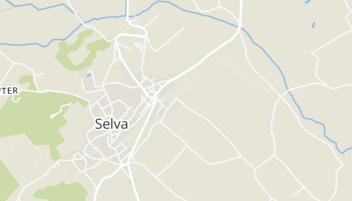 Térkép
