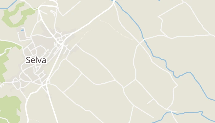 Térkép