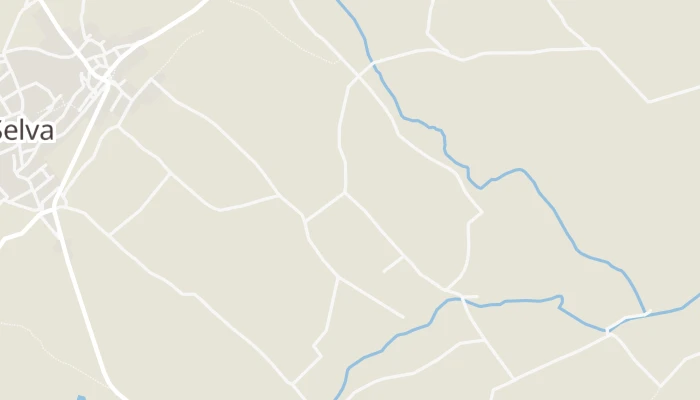 Térkép