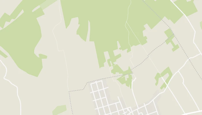 Térkép