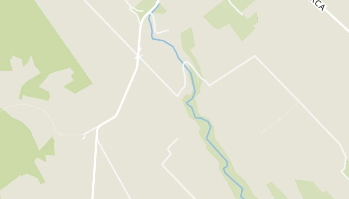 Térkép