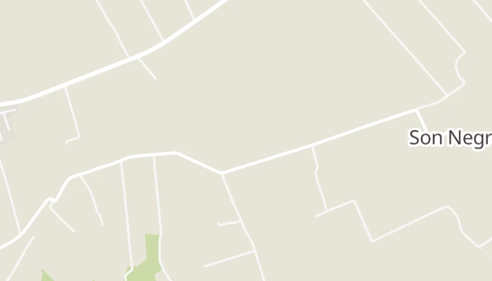 Térkép